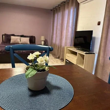 вила николета