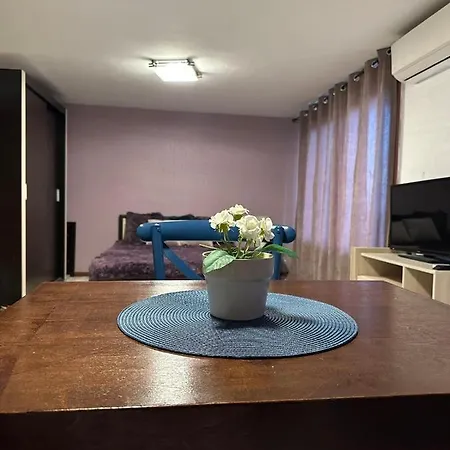 招待所 вила николета *